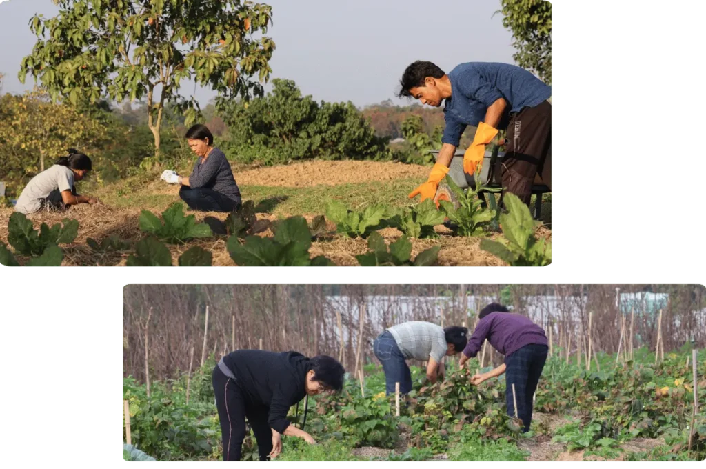 Agroforest Training Center